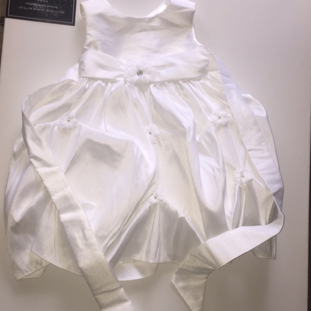 Toddler Dresses (2)/Size 2T